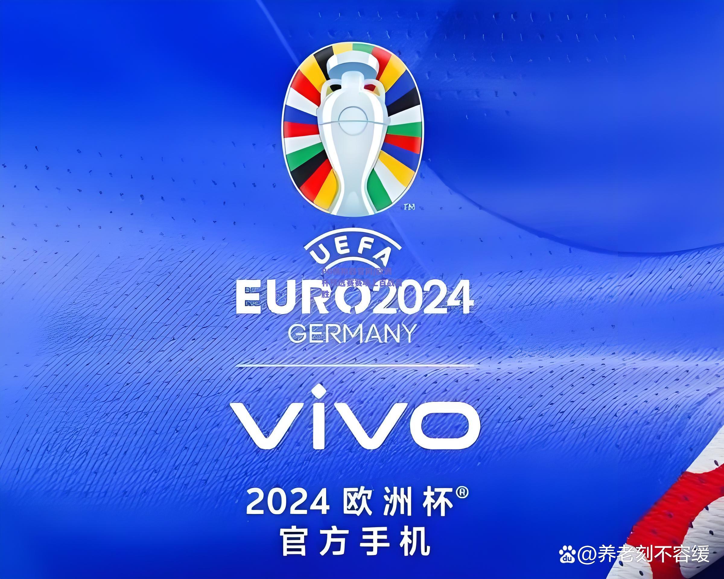 欧洲杯预选赛赛场上百战百胜